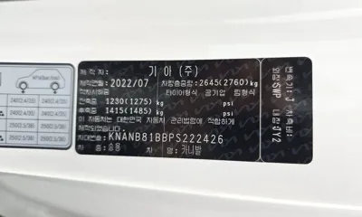 Kia Canival