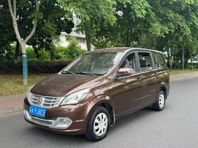 BAW Weiwang M20