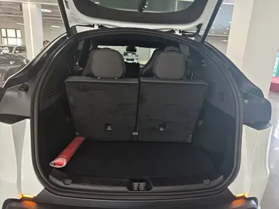 Tesla Model Y L