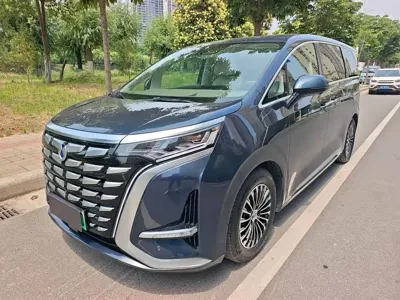 Denza Denza D9
