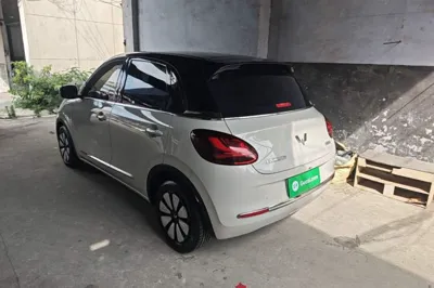 Wuling Bingo