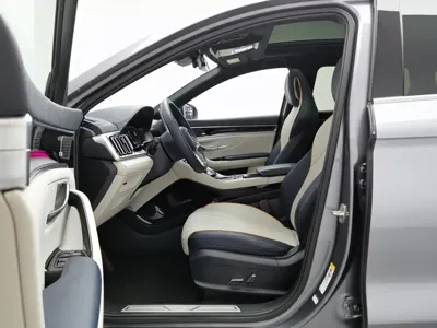 BYD PLUS New Energy