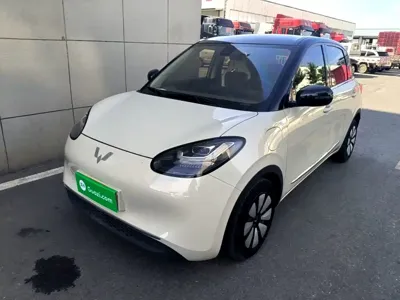 Wuling Bingo
