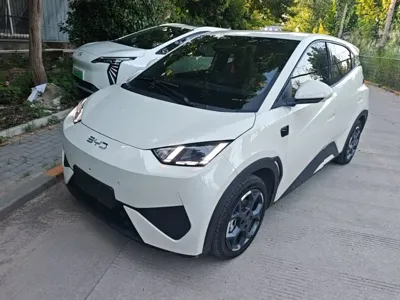 BYD Seagull