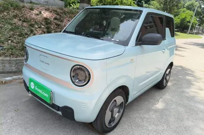 Geely Galaxy Panda