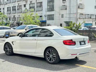 BMW 2 Series (Import)