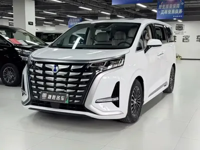 Denza Denza D9