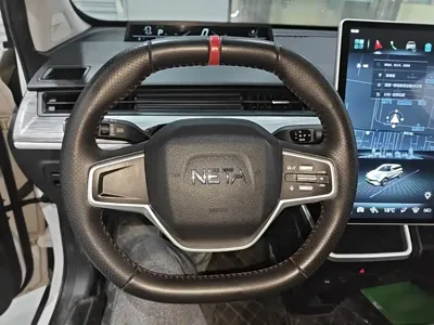 NETA Neta V