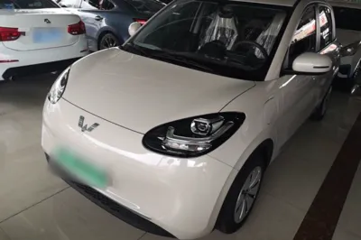 Wuling Bingo