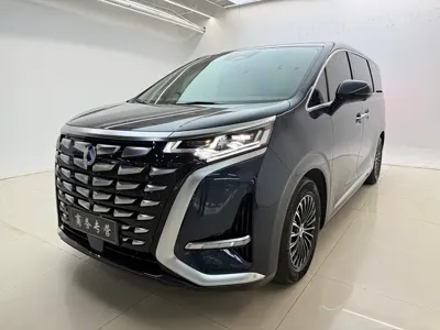 Denza Denza D9