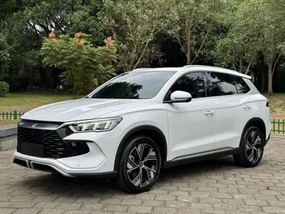 BYD Pro New Energy