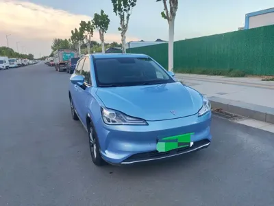 NETA Neta V