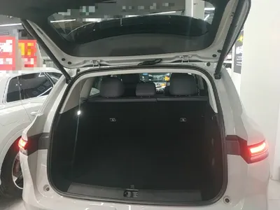 Leapmotor C10