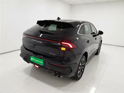 Fengxing Fengxing T5 EVO