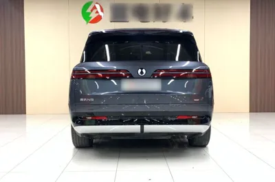 Denza N9