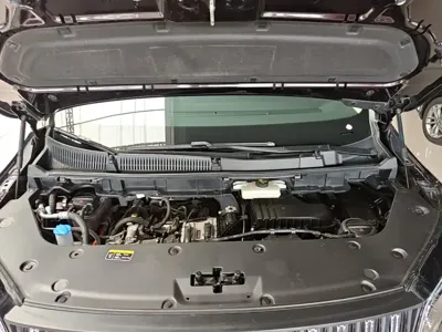 Hongqi Hongqi HQ9 PHEV