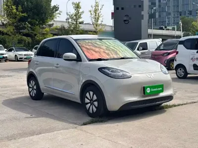 Wuling Bingo