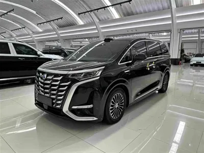Denza Denza D9