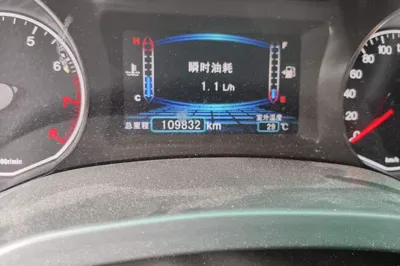 BYD Surui