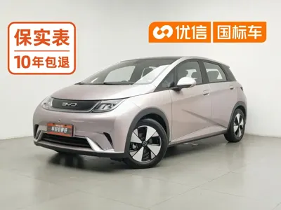 BYD Dolphin