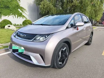 BYD Dolphin