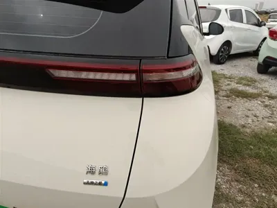 BYD Seagull