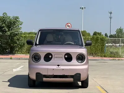 Galaxy Panda