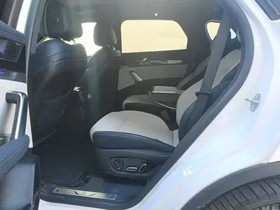 BYD Tang New Energy