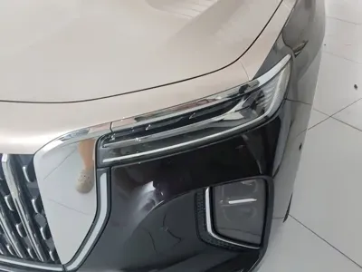 Hongqi Hongqi H9