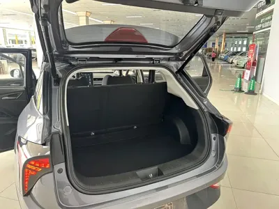 NETA Neta V