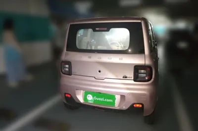 Geely Galaxy Panda