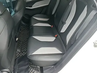Geely Binrui