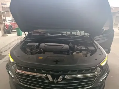 Wuling Victory