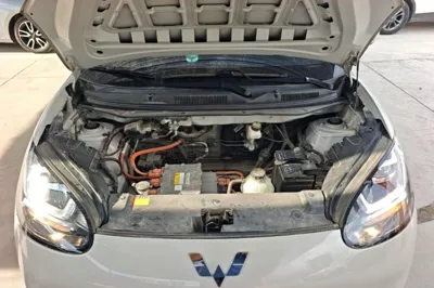 Wuling Bingo