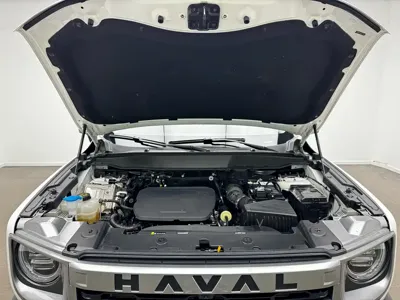 Haval Big Dog