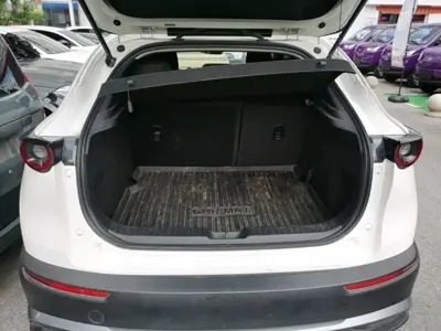Mazda CX-30 EV