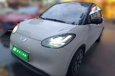 Wuling Bingo