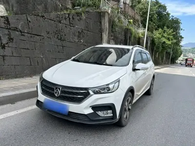 Baojun 310W
