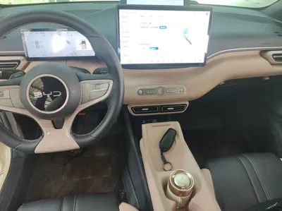 BYD Seagull
