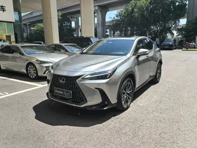 Lexus NX New Energy