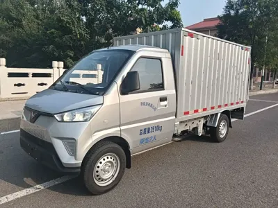 Wuling Wuling Electric Truck