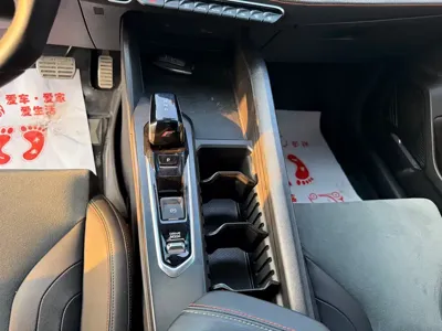 Geely Binrui