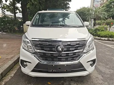 Fengxing Lingzhi PLUS