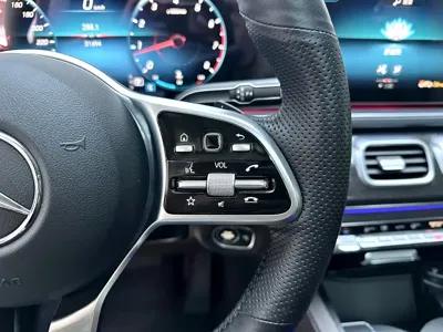 Mercedes-Benz 奔驰GLE(进口)