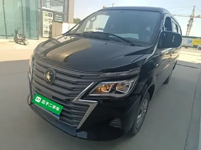 Fengxing Lingzhi