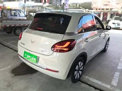 Wuling Bingo