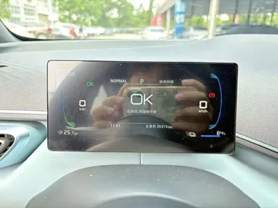 BYD Seagull