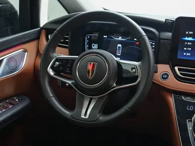 Hongqi Hongqi HQ9
