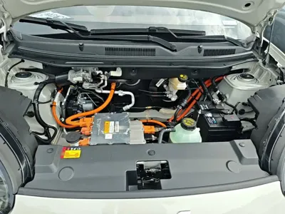 Wuling Bingo