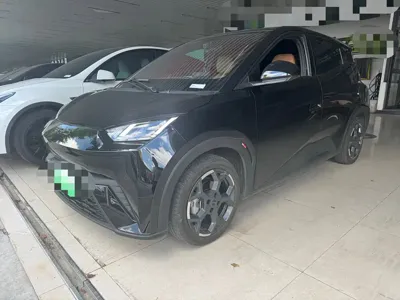 BYD Seagull